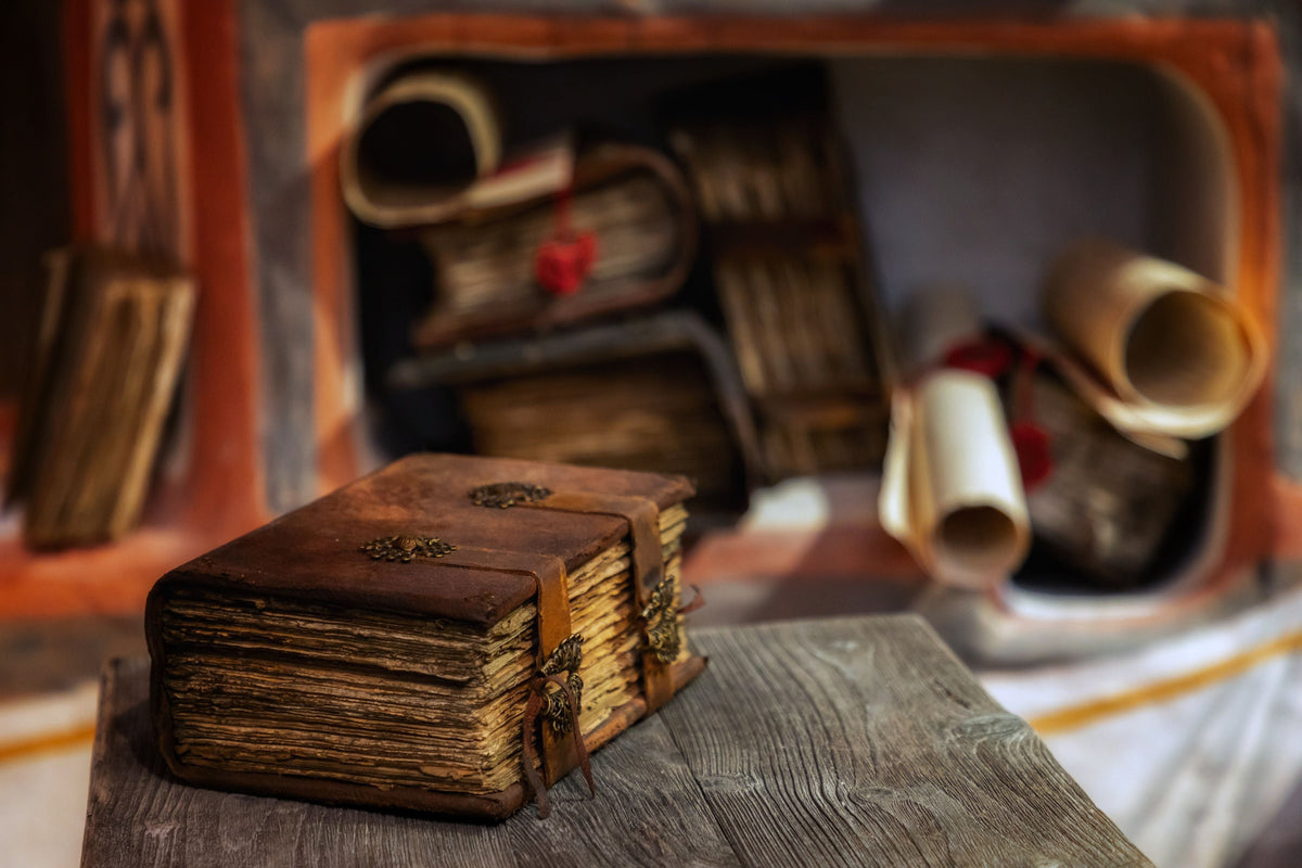 Why We Love Dangerous Libraries | The Sidra Journal