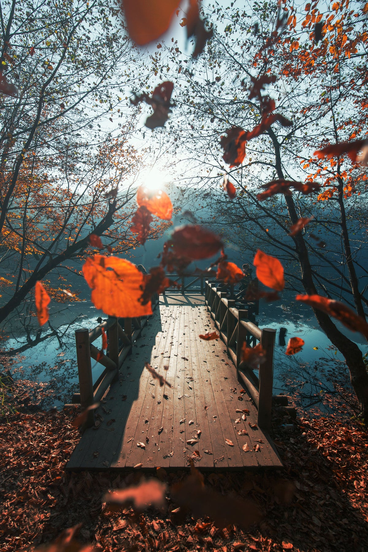 Why Autumn Belongs to Fantasy | The Sidra Journal